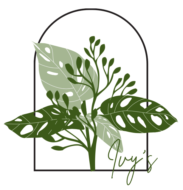 Logo ivy 2